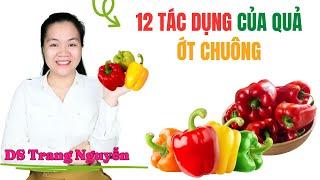 12 tác dụng của ớt chuông đối với sức khỏe? Ớt chuông (ớt ngọt) màu nào tốt nhất?