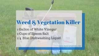 Homemade Weed Killer, Safer than Roundup