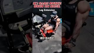 Leg Extention, 레그 익스텐션 자세 #legextension #legworkout #legday #레그익스텐션 #shrots