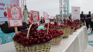 Tekirdağ Kiraz Festivali coşkuyla kutlandı 