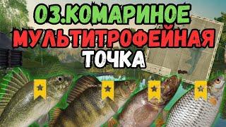 КУЧА ТРОФЕЕВ НА 1 ТОЧКЕ?/оз.Комариное ● Русская Рыбалка 4 | РР4