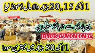 Northern Bypass Mandi Rates & Bargaining | mandi 2025 | Cow Mandi 2025