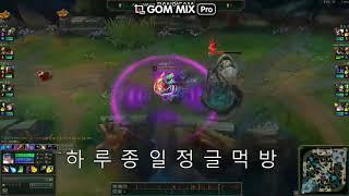 롤 랭크게임 고의트롤 소나박제영상
