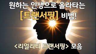 원하는 인생으로 올라타는 트랜서핑 비법! | 리얼리티 트랜서핑1~3 | 바딤 젤란드