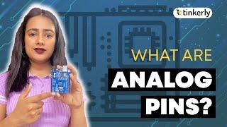 What Are Analog Pins? STEM Learning | STEM For All - Tinkerly  #shorts