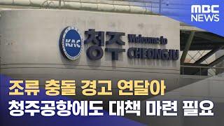 '철새·짧은 활주로' 닮은꼴 청주국제공항 (2024.12.30/뉴스데스크/MBC충북)