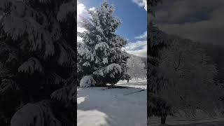 View from my front door on a December morning in West Virginia.