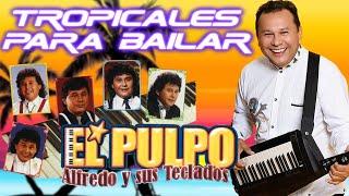 Alfredo el Pulpo y Sus Teclados  El Mejor MIX Para Bailar  Mix Tropical 2024