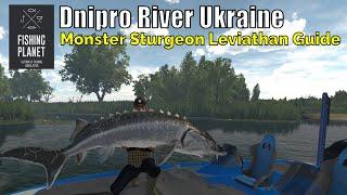 Fishing Planet, Dnipro River Ukraine,Fish Monster Sturgeon Leviathan Guide