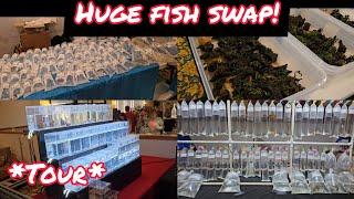 SHOPPING FOR RARE EXOTIC FISH AT HUGE FISH SWAP!  BIGGEST IN THE MID-WEST! *TOUR*