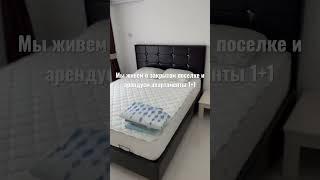 Стоимость аренды жилья на Северном Кипре #кипр #путешествия #shorts #арендаквартир #cyprus