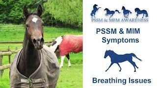 PSSM & MIM Symptoms- Breathing Issues