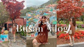 Busan Vlog EP.1 |  เที่ยวปูซาน 2023, หมู่บ้าน Gamcheon, Songdo Beach, เดินเล่นย่านนัมโพดง