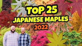 Top 25 Japanese Maples of 2022 | Customer Choice | MrMaple.com Podcast #15