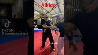 Aikido master amazing skills martial arts extreme stunts strongman extraordinary training strong