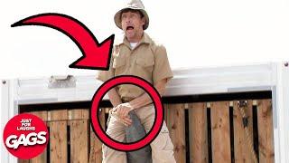 Rhino Attacks Zookeeper In Enclosure | Just For Laughs Gags