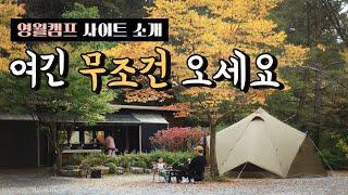 여긴 무조건 오세요 | 영월캠프 사이트소개 | 제인아츠 제쿠L | 가족캠핑 | 숲속캠핑 | 캠핑장소개