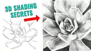 Four Steps To Shading A 3D Effect With Graphite Pencil