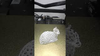 3D Printed Holey Fawn Time Lapse