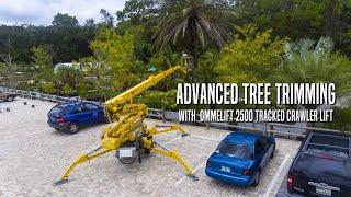 Advanced Tree Trimming