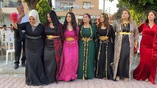 Süper Şevko Halayı 2024 - Yeni Kürtçe Halay - Kurdish Wedding