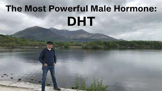 The Most Powerful Male Hormone  DHT YT