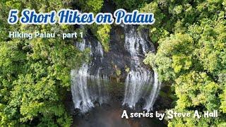 5 Short Hikes on Palau: Hiking Palau part 1