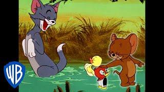 Tom und Jerry auf Deutsch | Es liegt in der Familie | WB Kids