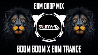 BOOM BOOM X EDM TRANCE X REMASTER MIX | DJ SHAILESH SS | DJ SUMYA SD