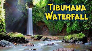  Tibumana Waterfall: Bali's Best Kept Secret