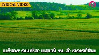 பச்சை வயலே பனங் கடல் வெளியே - Pachai Vayale Panag Kadal Veliye