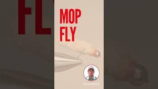 Mop Fly Pattern Short