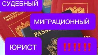 Судебный, миграционный юрист‼️