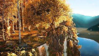 Elven Forest of Lindon Autumn Ambience  with Nature Sounds & Elven Melodies LOTR Rings of Power