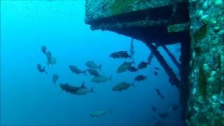 Oriskany Dive Oct-20th-2012