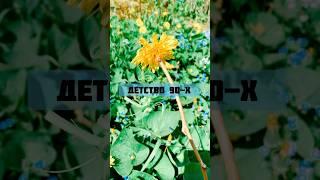 Детство 90х #детство #детствовссср #90s #воспоминания #воспоминаниядетства #игры #одуванчик #цветы