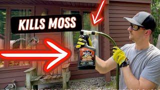 Moss Removal | "Moss Out" Review