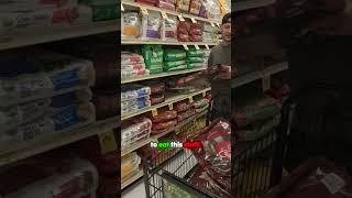 Is Your Pantry Ready for a Clear-Out? 