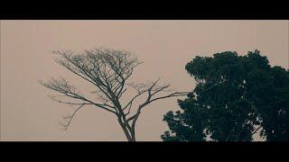 Masranga | মাছরাঙা | by Shohojia (official music video)