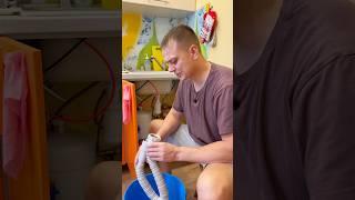 Как легко промыть сифон