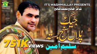 New Balochi Song | JEGE POLAN SANJ BASTAH | SALEEM AMEEN | Washmallay Production