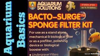 Basics: Aquarium Sponge filters