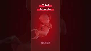 Third trimester development As per Ayurveda #shorts #ytshorts #youtubeshorts #viralvideo