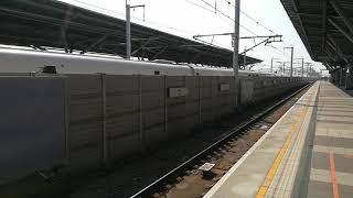 Taiwan High Speed Rail - train passing through Tainan Station