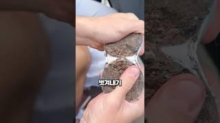 야구공으로 효도하는 법
