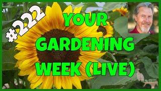 How to Relax in Your Garden (Q&A)