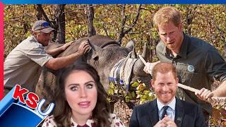 Prince Harry Should Apologise Over African Parks Charity Scandal | Kinsey Schofield