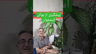 پوکی استخوان و راههای پیشگیری#پوکی_استخوان #تغذيه #تغذیه_سالم #رژیم_غذایی #سلامت #رژیم_کاهش_وزن