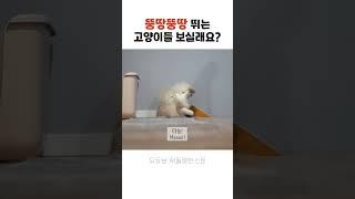 뚱땅뚱땅