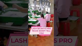 Lash Secrets Pro Techs Won’t Tell You #lashextensions  #lashtech